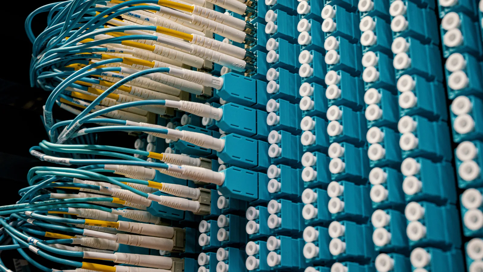 Rows of network cable connectors