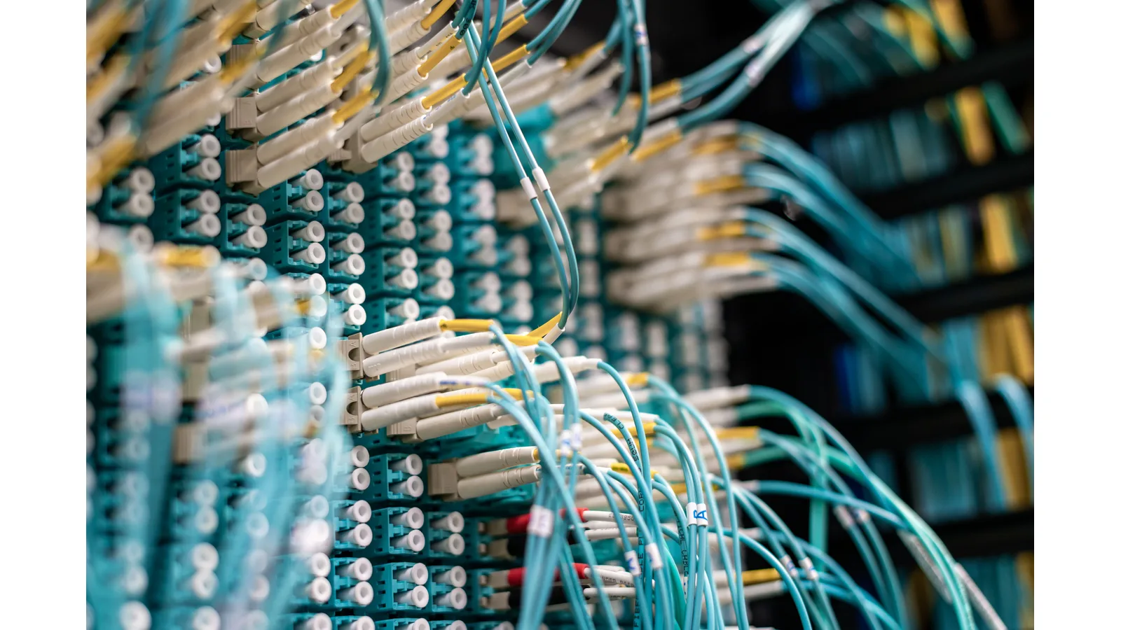 Network cables plugged into equipment ports